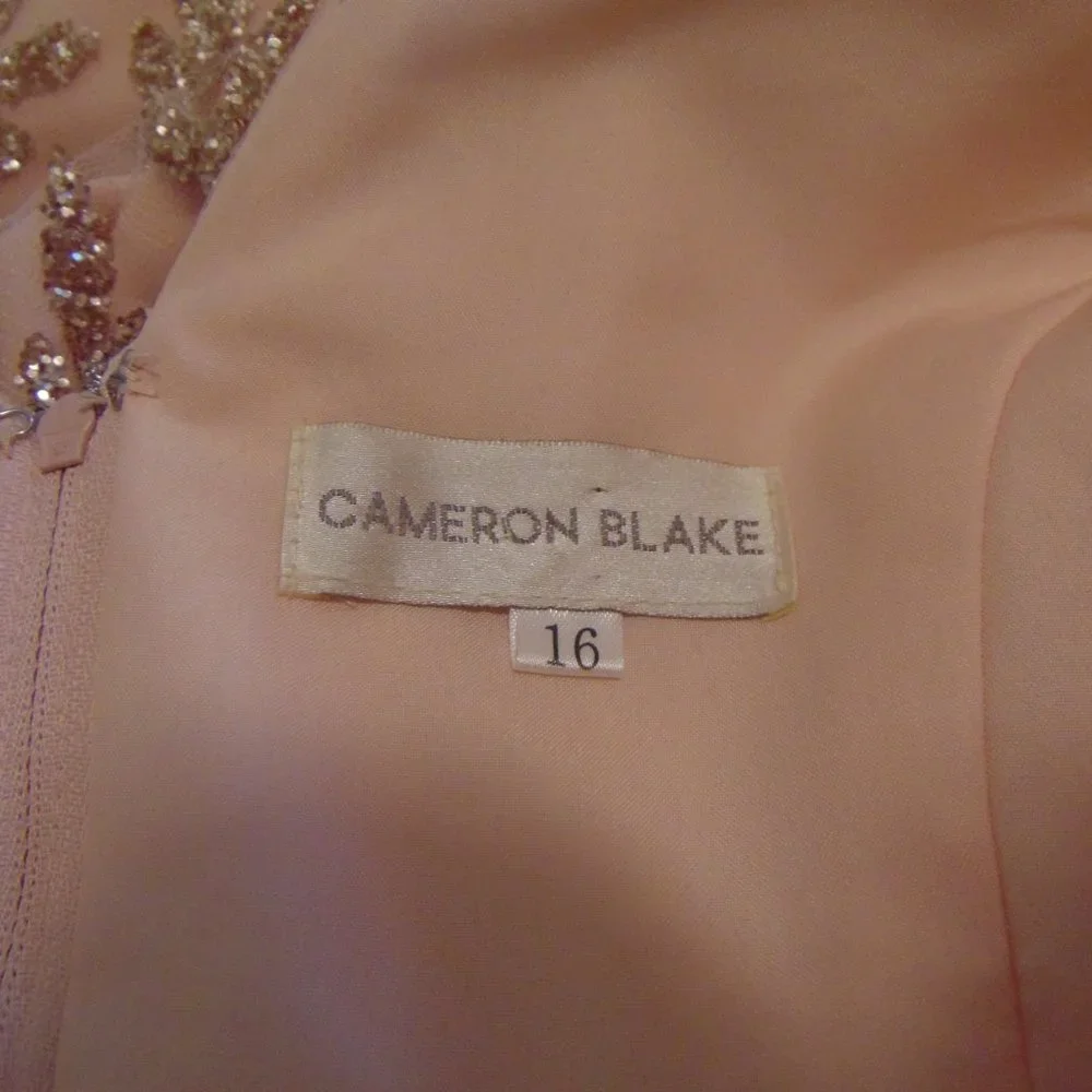Mother of the Bride peach Chiffon gown by Cameron Blake - Picture 7 of 16